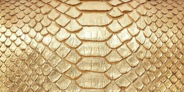 Chanel python leather