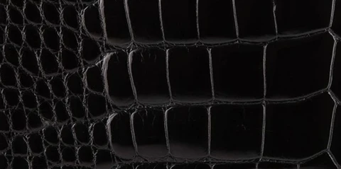 Chanel crocodile leather