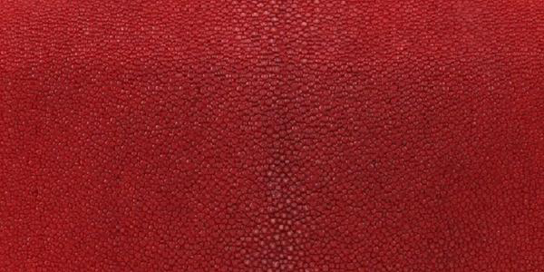 Chanel lizard leather