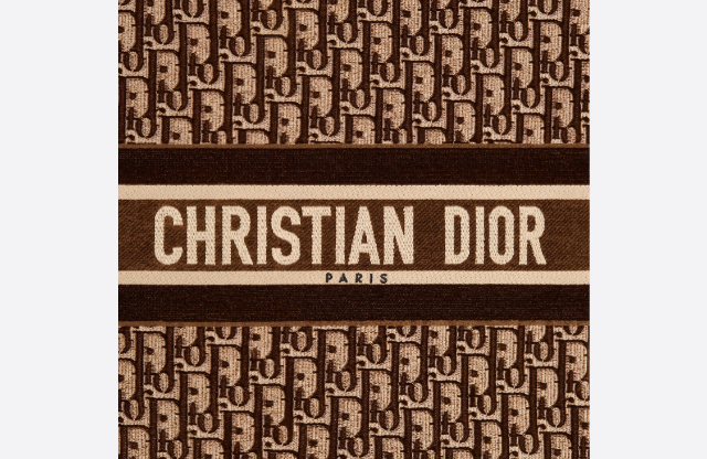 Why Is Dior Oblique Canvas Still a Must-Have Today? 